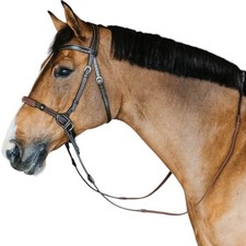 Braun cob gebisslose gebraucht kaufen  Siegen