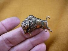 Wild buffalo bison for sale  Spartanburg