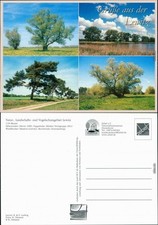 Ansichtskarte lewitz naturschu gebraucht kaufen  Ortrand