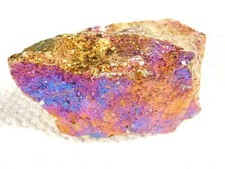 Bright iridescent peacock for sale  Salt Lake City