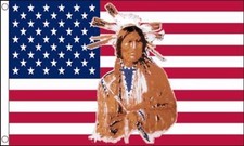 Native american indian for sale  CULLOMPTON