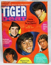 Tiger beat teen for sale  Rochester