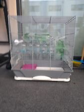 Vogel käfig gebraucht kaufen  Aachen