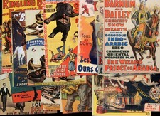 Circus poster postcards for sale  Greeneville