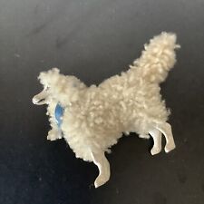 Miniature poodle dog for sale  TELFORD