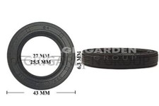 Paraolio briggs stratton usato  Aprilia