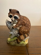 Andrea sadek raccoon for sale  Ephrata