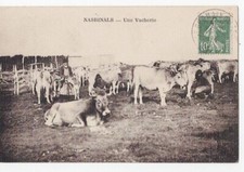 Cpa lozere env. d'occasion  Saint-Lô