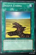 Siccita eterna italiano usato  Venezia