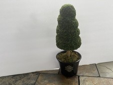 Faux spiral boxwood for sale  Cockeysville