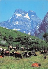 Aiguilles aiguilles queyras d'occasion  France