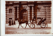 Paris voiture cheval d'occasion  Pagny-sur-Moselle
