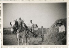Photo ancienne vintage d'occasion  Paris XI