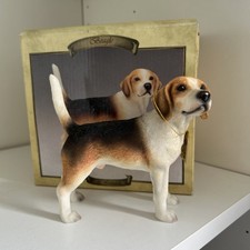 beagle dog for sale beagle dog for sale BIRMINGHAM