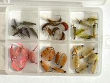 Scuds freshwater shrimp for sale  Tulsa