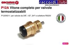 Vitone completo valvole usato  Seravezza