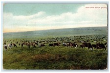 1909 2500 beef for sale  Terre Haute