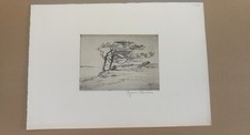 Paulsen hne titel gebraucht kaufen  Kiel