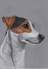 Original colour pencil for sale  SOUTHSEA
