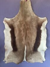 Springbok skin hide for sale  GLASTONBURY