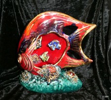 Vallauris gros poisson d'occasion  Six-Fours-les-Plages