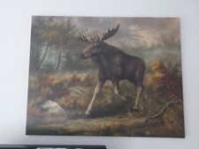 ölbild elch im gebraucht kaufen  Rastede