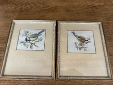 Vintage vogelbilder rahmen gebraucht kaufen Vintage vogelbilder rahmen gebraucht kaufen  Wöllstadt