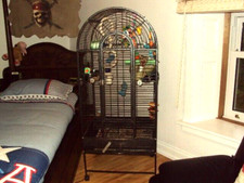 Parrot cage large for sale  SKELMORLIE