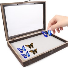 Specimen display case for sale  WORCESTER
