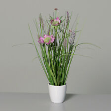 Wiesenblumengras pink 38cm gebraucht kaufen  Karlsfeld