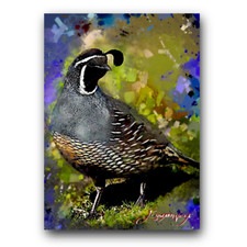 quail limited for sale quail limited for sale Pasco
