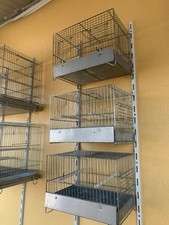 gabbietta uccelli usato gabbietta uccelli usato Catania