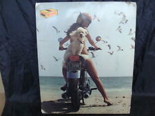 Kodak cartello pubblicitario usato Kodak cartello pubblicitario usato  Santena