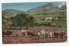 Arando gran canaria. usato  Spedire a Italy