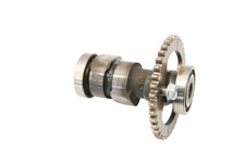 Honda trx300ex camshaft for sale  Ashaway