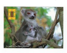 Madagascar lemurian crowns d'occasion  Expédié en Belgium