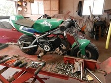 Green blata pocket for sale  Sachse