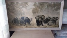 Vintage elephants amboseli for sale  YORK