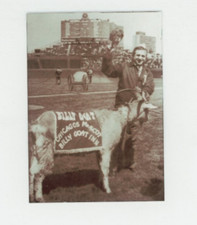 Billy goat curse for sale  Surprise
