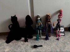 Monster high wishes gebraucht kaufen  Ansbach