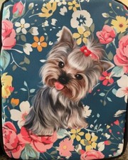 Sassy shih tzu for sale  Orange City