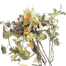 plum branches for sale  Tallmadge