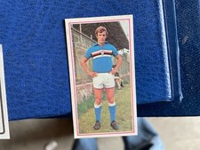 Panini calciatori 1970 usato  Canelli