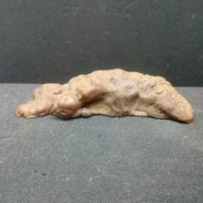 Vintage burl unique for sale  New Hope
