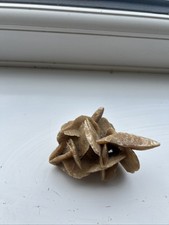Gypsum desert rose. for sale  NEWCASTLE UPON TYNE