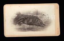 Antique cdv photo for sale  Fisherville