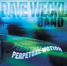 Perpetual motion dave for sale  ROSSENDALE