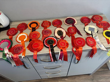 Vintage dog rosettes for sale  GODALMING