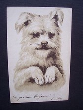 Cpa chien yorkshire d'occasion  Combs-la-Ville