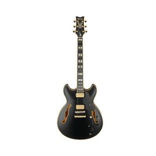 Ibanez john scofield for sale  Brooklyn